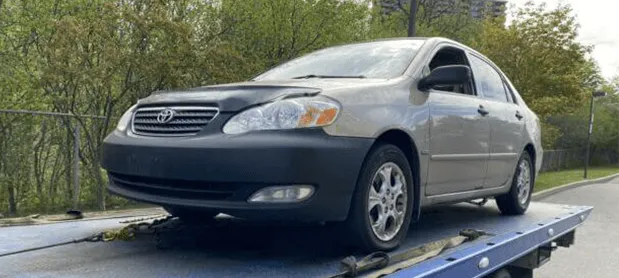 Autos verwerten in Wachtberg